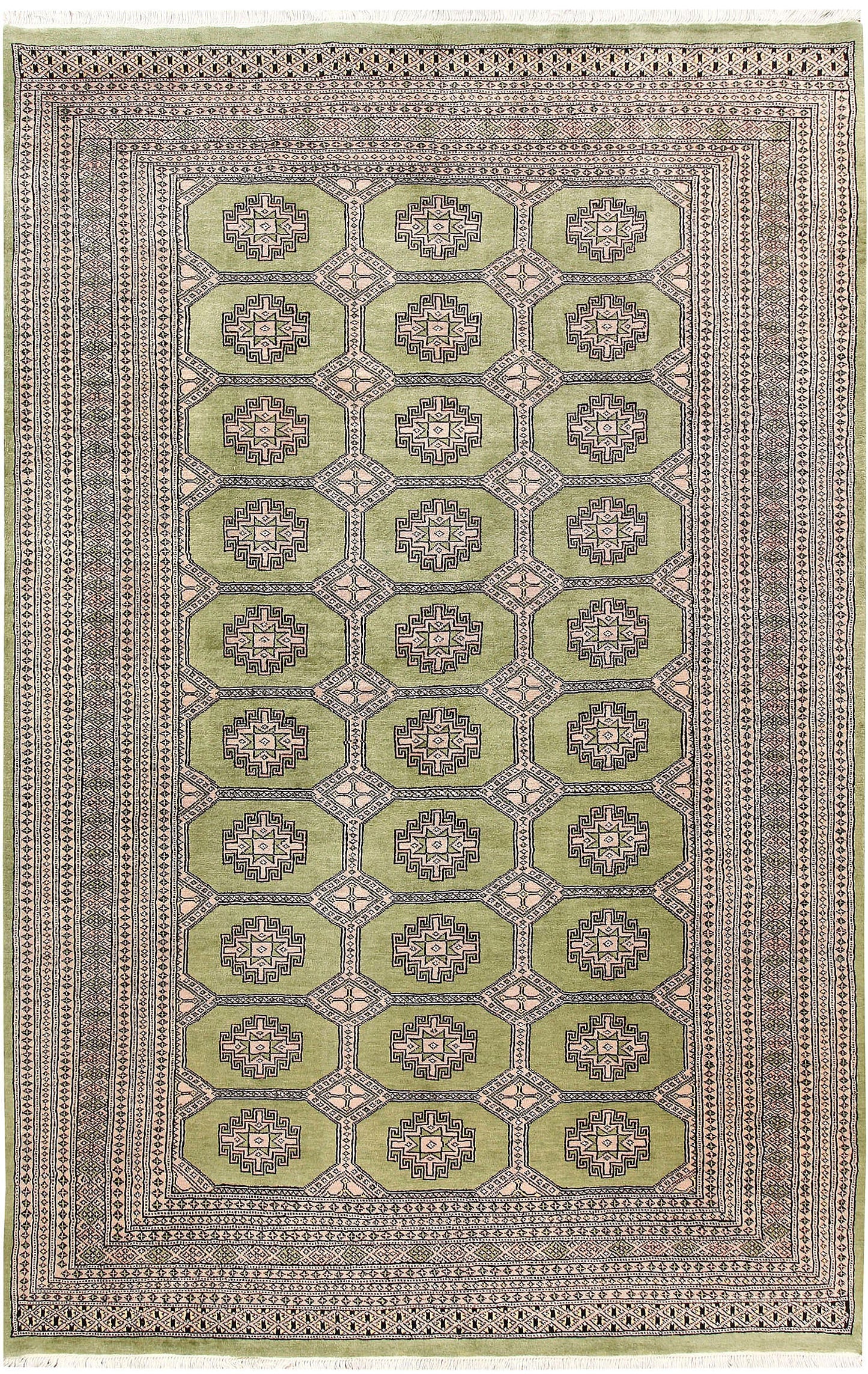 Olive Jaldar | 6 x 9.3 | RRR-60274
