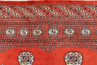 Tomato Bokhara | 5.7 x 8.2 | RRR-40624