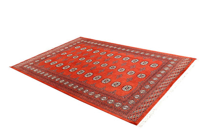 Tomato Bokhara | 5.7 x 8.2 | RRR-40624